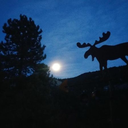 Alpine Moose Lodge Lake City Ngoại thất bức ảnh