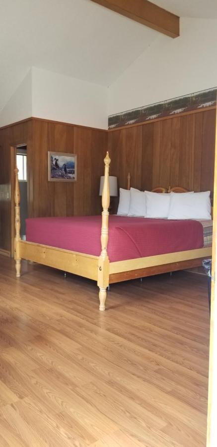 Alpine Moose Lodge Lake City Ngoại thất bức ảnh