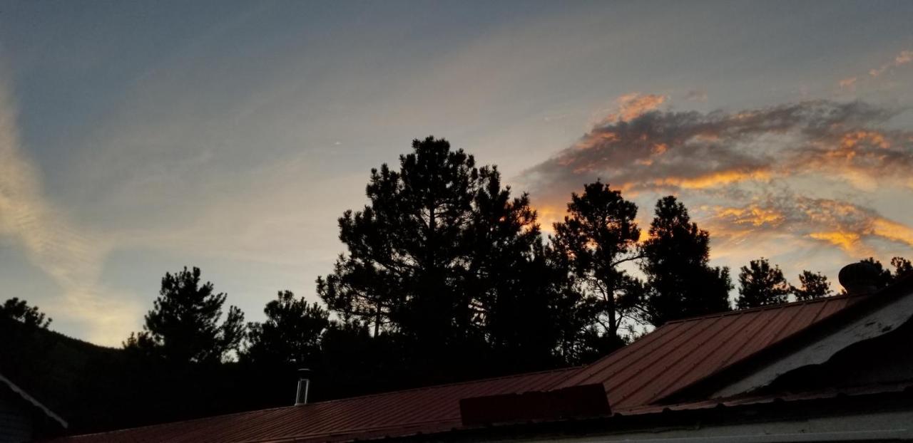 Alpine Moose Lodge Lake City Ngoại thất bức ảnh