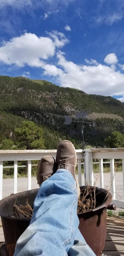 Alpine Moose Lodge Lake City Ngoại thất bức ảnh