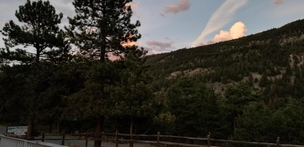 Alpine Moose Lodge Lake City Ngoại thất bức ảnh